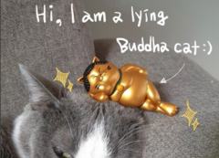 卧佛猫像  布达猫-卧姿