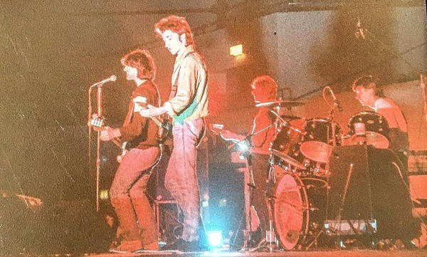 The Chameleons 作品合集