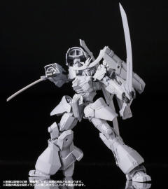 Frame Arms NSG-Z0/D 祸月-资料图