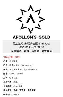 Apollon’s gold尼加拉瓜水洗帕卡马拉