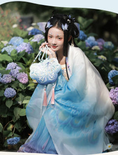 幻蝶·绣花包-资料图