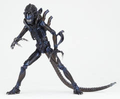 Revoltech Revoltech SFX 战斗异形-资料图