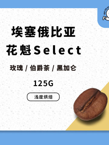 花魁Select埃塞俄比亚咖啡豆