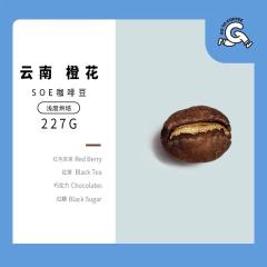 GotoCoffee 云南普洱橙花SOE意式手冲咖啡豆高架日晒处理半磅227g