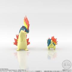 火球鼠&火岩鼠
