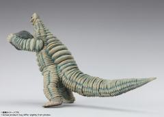 SHF 雷德王-资料图