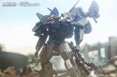 异鸟代码×金色乌鸦 重晴鸟-资料图