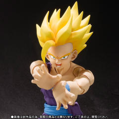 SHF 孙悟饭-资料图
