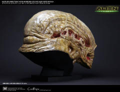 Alien Newborn -资料图