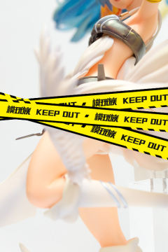 Wonderful Hobby Selection 玉依姬 太阳巫女-资料图