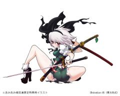 魂魄妖梦 ver. OZ-资料图