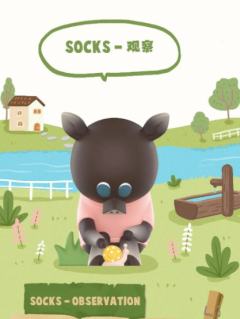 SOCKS观察