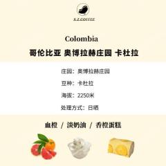 奥博拉赫 卡杜拉