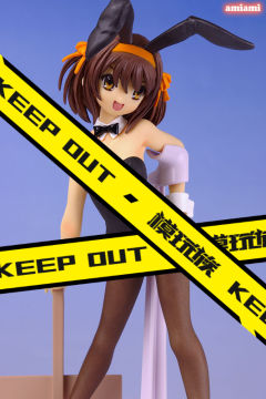Metamo Figure 凉宫春日 Bunny ver.-资料图