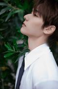 1星 经典卡1