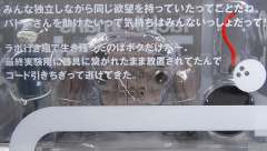 塔奇克马 Silver Ver.-资料图