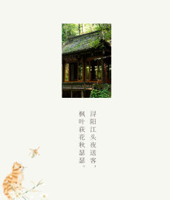 秋瑟瑟-资料图
