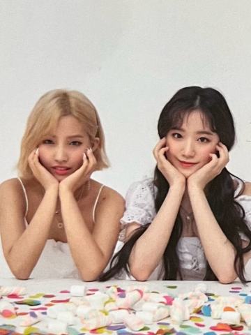 一期会员双人透卡 ver.D