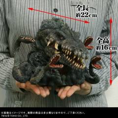 DefoReal Series 碧奥兰蒂 Limited Edition-资料图