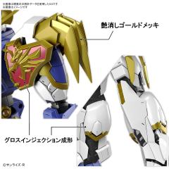 HG Amplified IMGN 龙神丸-资料图