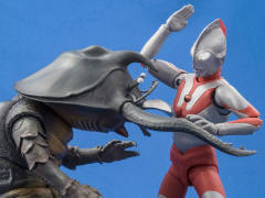 SHF 安东拉-资料图