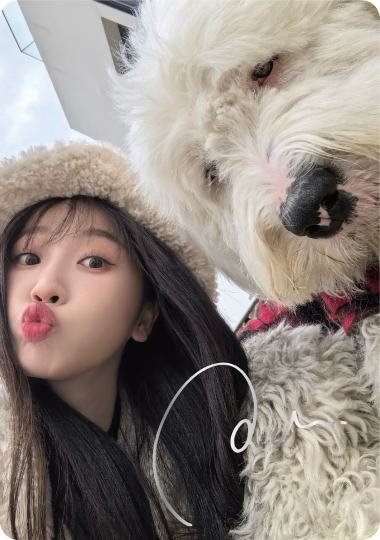 嘘国王在冬眠-2