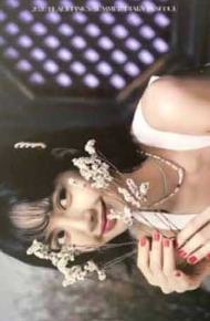 2020夏日日记明信片 莎 ver.A