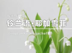 铃兰语·耶加雪菲 高斯 水洗