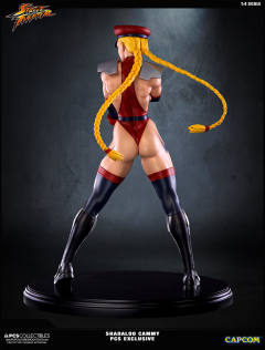 Mixed Media 嘉米·怀特 Shadaloo Cammy-资料图