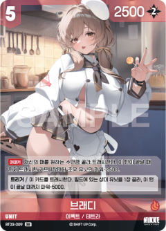 브래디