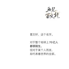 再见，葛文轩-资料图