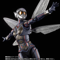 SHF 黄蜂女-资料图