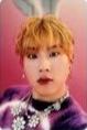 SW ver.C