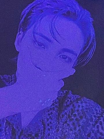豪华版专卡 净 ver.D