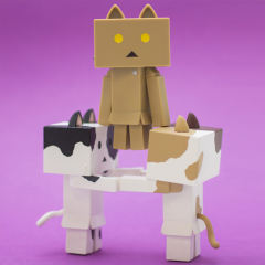 Nyanboard Figure Collection 2 阿楞 Normal（browbeat）-资料图