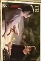 FR【枇杷树下】