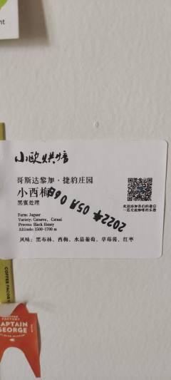 哥斯达黎加捷豹庄园 小黑莓 黑蜜处理