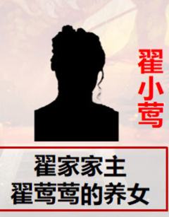 龙城拍卖会-资料图