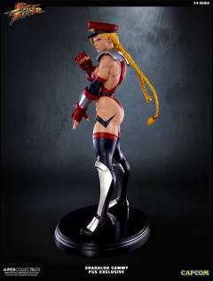 Mixed Media 嘉米·怀特 Shadaloo Cammy-资料图
