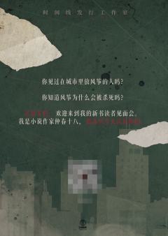 杀死风筝的人-资料图