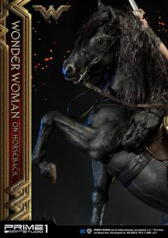 神奇女侠 On Horseback-资料图