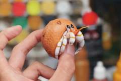 麻薯寄居蟹-资料图