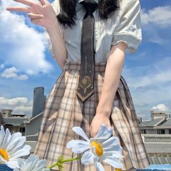 莱斯小姐-资料图