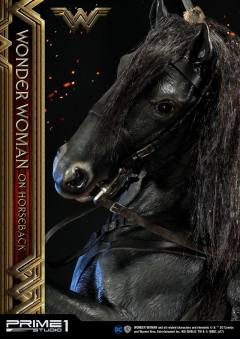 神奇女侠 On Horseback-资料图