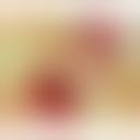 悠木菜子