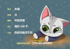 幸福商业街-资料图
