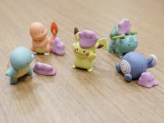 百变怪 杰尼龟 -资料图