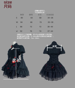 沙伦玫瑰-资料图
