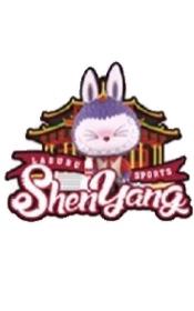 沈阳