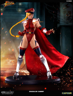 Mixed Media 嘉米·怀特 Shadaloo Cammy-资料图